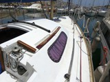 Aloa 29 1