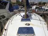 Aloa 29 17