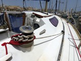 Aloa 29 21