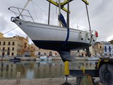 Aloa 29 22