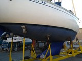 Aloa 29 25