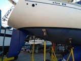 Aloa 29 26