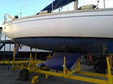 Aloa 29 27
