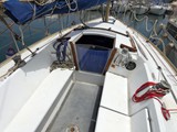 Aloa 29 2a