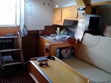 Gobbi 38 13