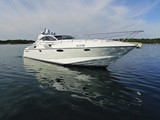 Rizzardi 45 Incredible 15