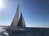 Bavaria 46 45