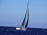 Bavaria 46 9